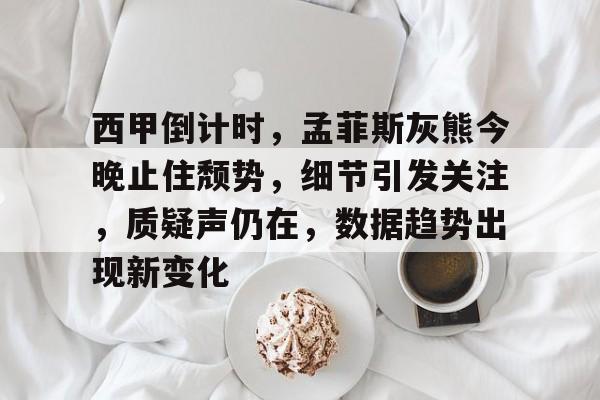 西甲倒计时，孟菲斯灰熊今晚止住颓势，细节引发关注，质疑声仍在，数据趋势出现新变化的简单介绍-aiyouxi